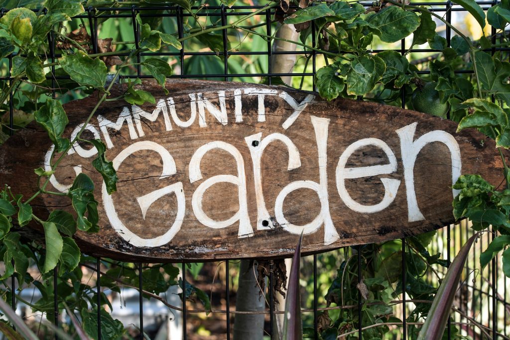 Creating Community Gardens in Corporate Campuses
